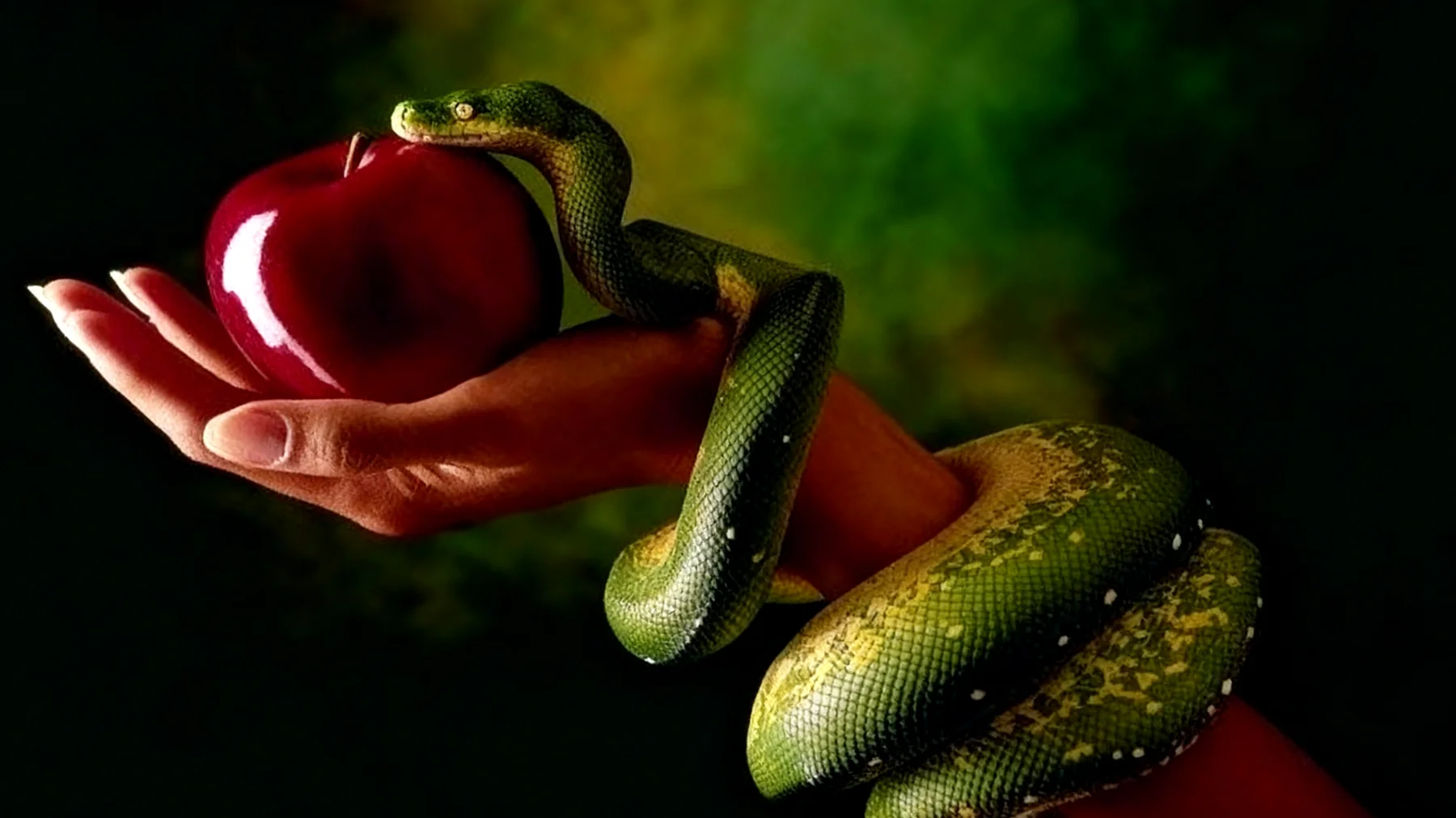 Forbidden Fruit2025-12-26T14:51:38.273Z"