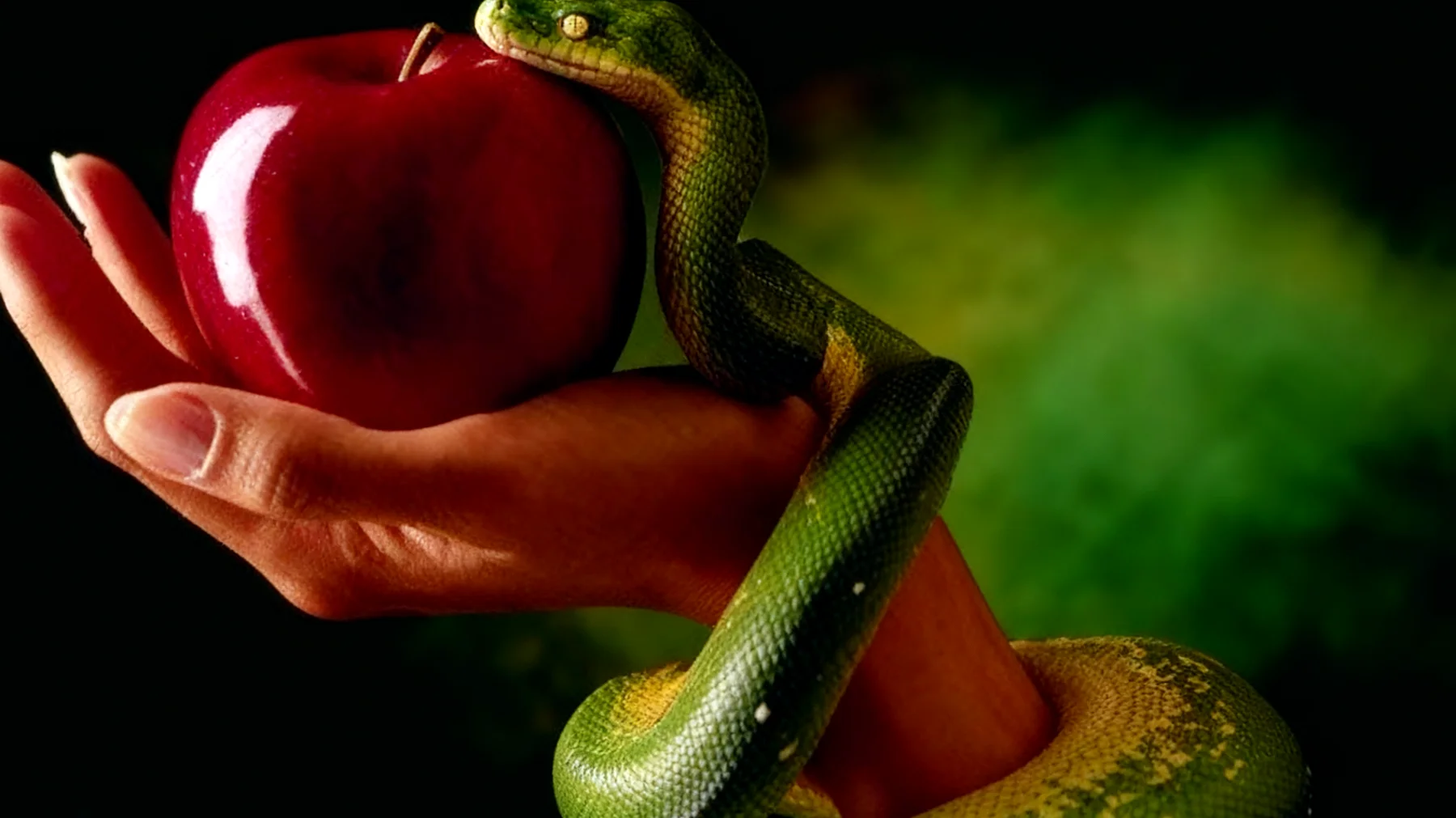 Forbidden Fruit2025-12-29T14:56:27.889Z"