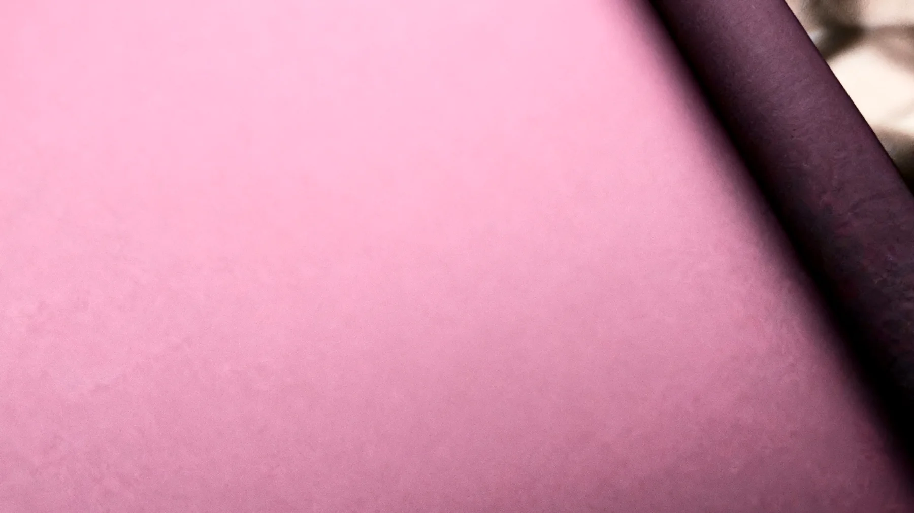 La forza di una donna2025-12-12T10:08:04.180Z"