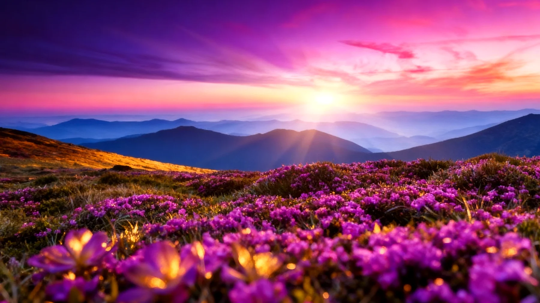 Beautiful 2026-01-11T14:33:23.130Z"