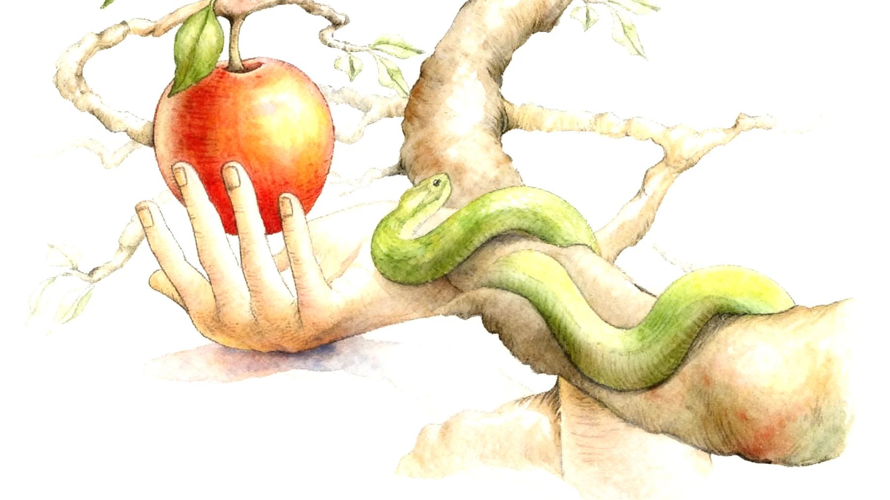 Forbidden Fruit2026-01-01T14:49:48.984Z"