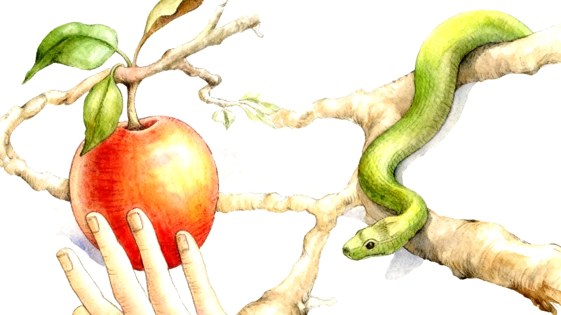 Forbidden Fruit2026-01-09T14:50:46.591Z"