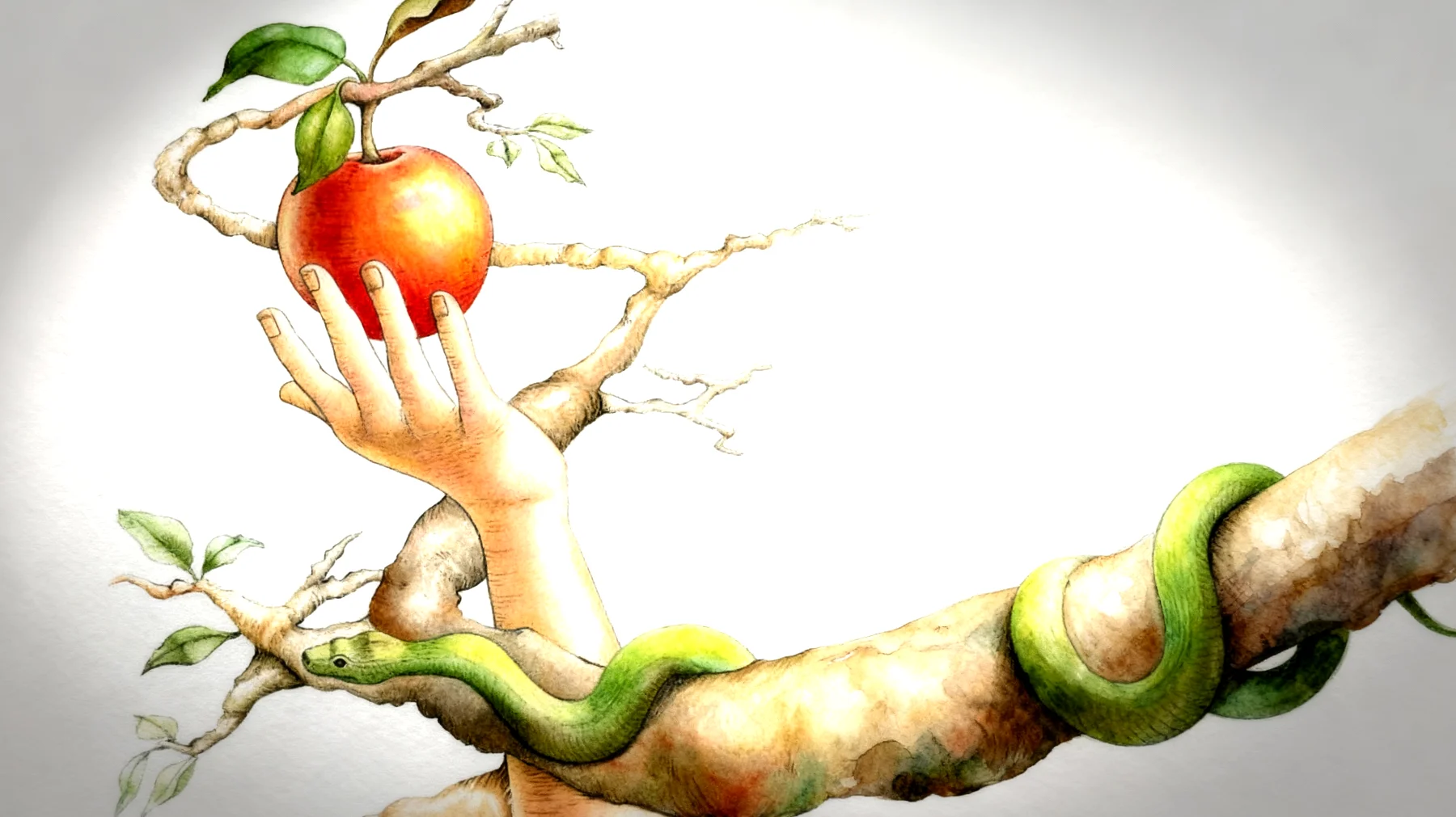 Forbidden Fruit2026-01-12T15:00:29.928Z"