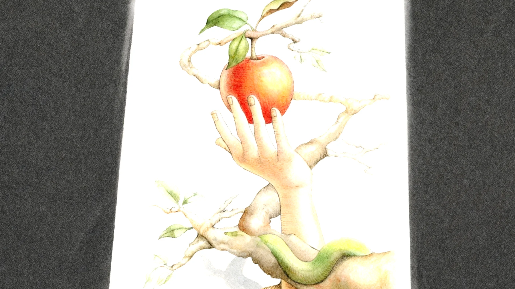 Forbidden Fruit2026-01-13T14:59:45.273Z"