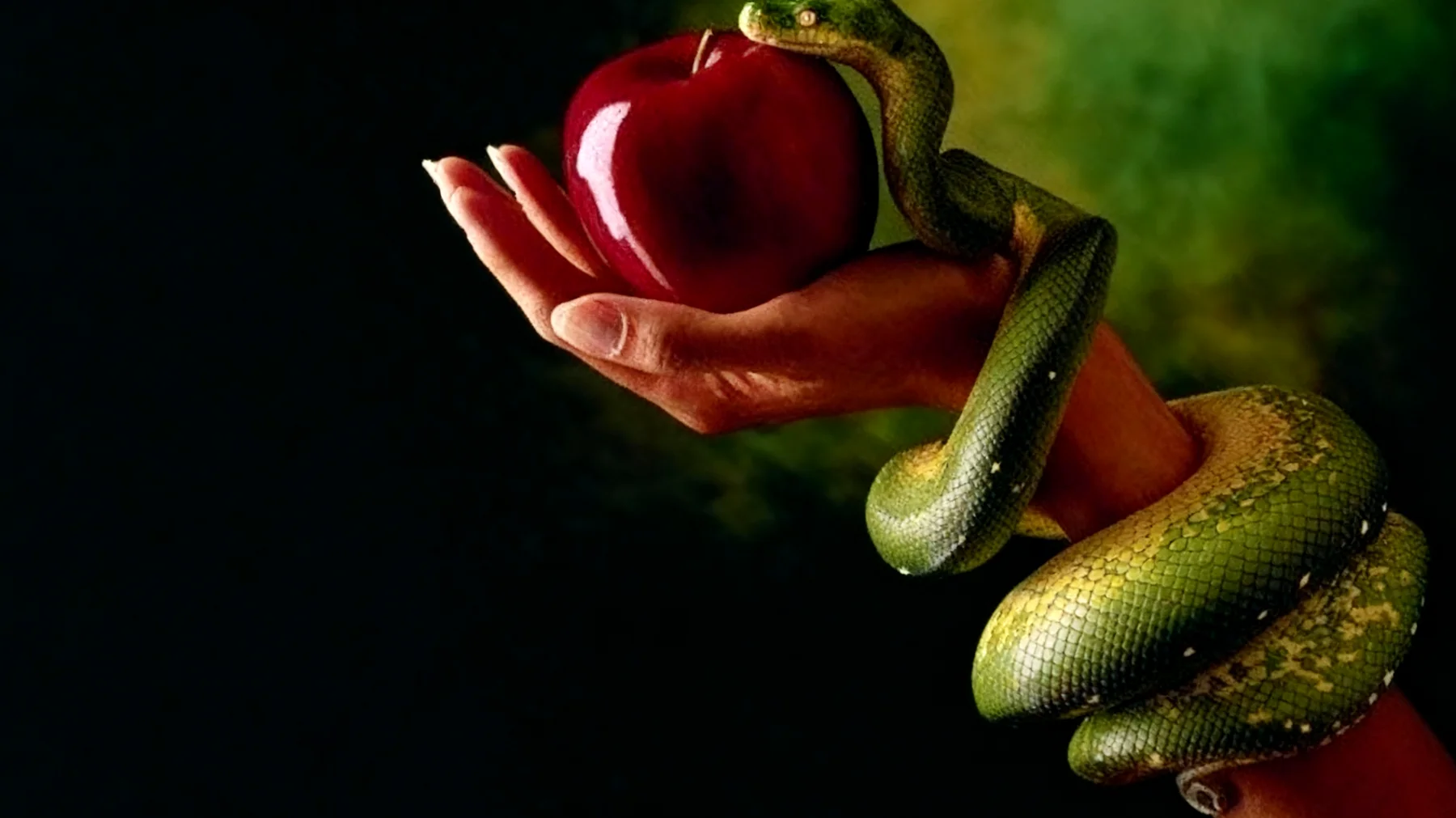 Forbidden Fruit2026-01-16T14:55:05.711Z"